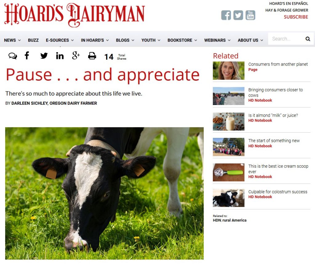 Hoard's Dairyman - Pause