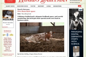 Hoard's Dairyman - Give Them Space