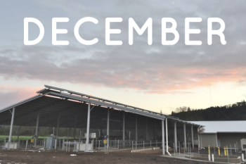 Monthly Barn Report: December