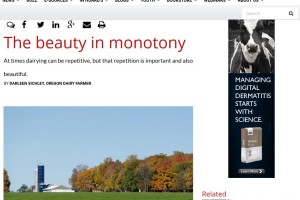 Hoard's Dairyman - Beauty in Monotony