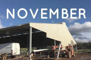 Monthly Barn Report: November