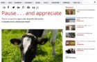 Hoard's Dairyman - Pause