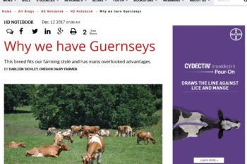 Hoard's Dairyman - Why Guernseys
