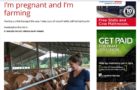 I'm Pregnant and I'm Farming